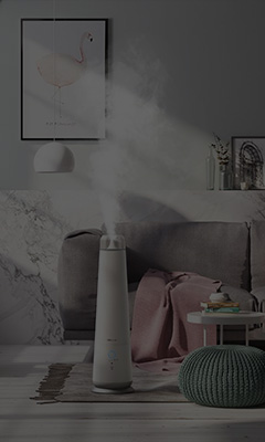 Humidifier